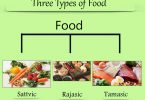 types of food